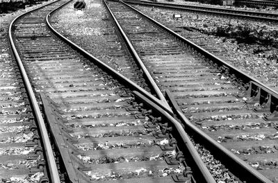 Railroad tracks