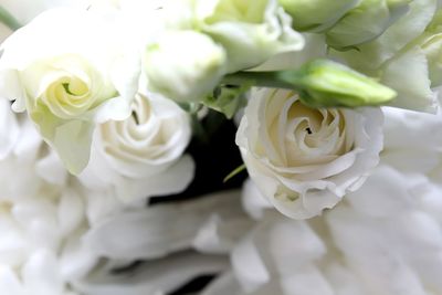 Close-up of white rose bouquet