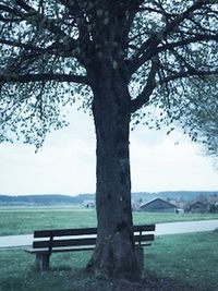 Bench by sea against sky