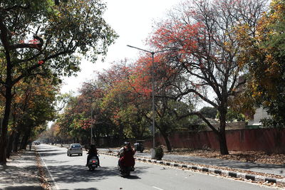 Rear view of people walking on street during autumn