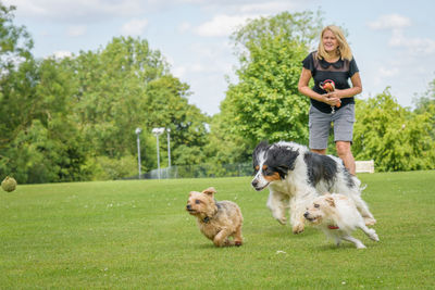 Woman with dogs on lawn against trees