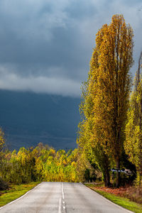 Road amidst trees against sky during autumn