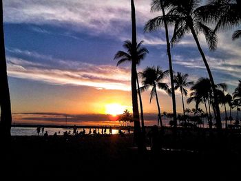 Silhouette of palm trees at sunset