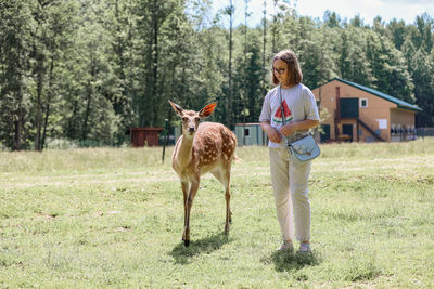 A girl feeding cute spotted deer bambi at petting zoo. 