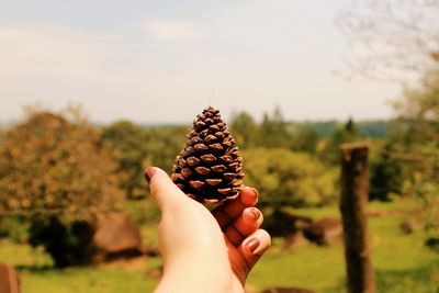 Close-up of person holding ice cream