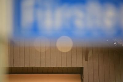 Close-up of tree stump