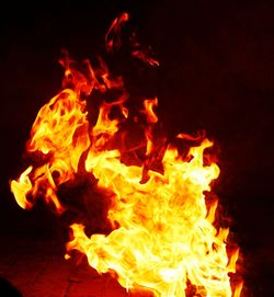 Close-up of fire burning at night