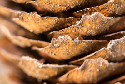 Close-up of bread