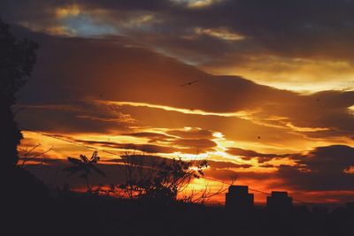 Low angle view of silhouette birds flying against dramatic sky