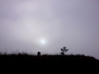 Silhouette person on field against sky at night