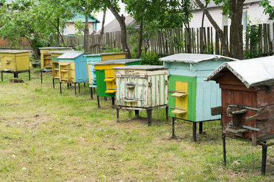 Wooden beehive with the family of bees