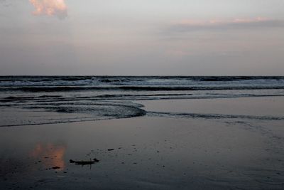 Scenic view of beach against sky during sunset