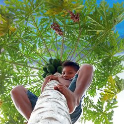 Low angle portrait of boy against plants