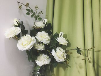 Close-up of white flowering plant
