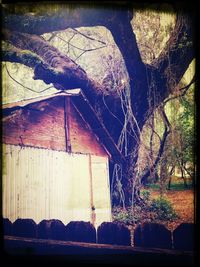 Built structure with trees in background