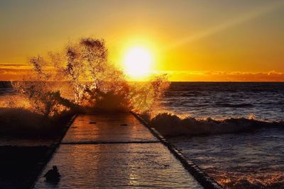 Silhouette tree by sea against sky during sunset
