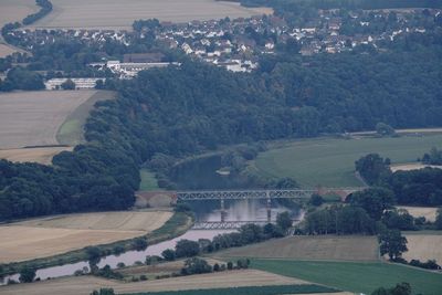 High angle view of road along trees and plants