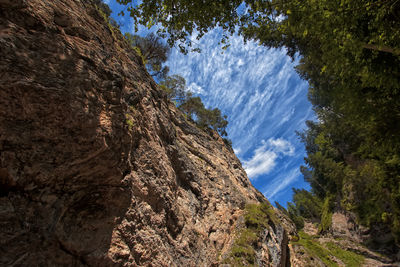 Low angle view of rock formation amidst trees against sky