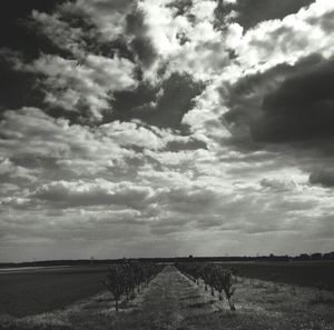 Scenic view of field against cloudy sky