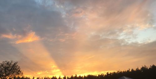 Silhouette trees against dramatic sky during sunset