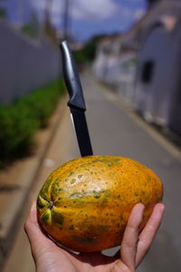 Close-up of hand holding apple