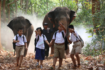 Rear view of people enjoying in forest