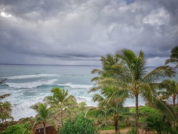 Palm trees by sea against sky