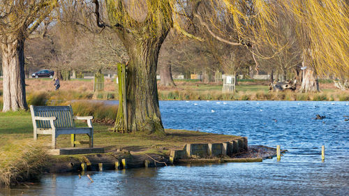 Bench in park by lake