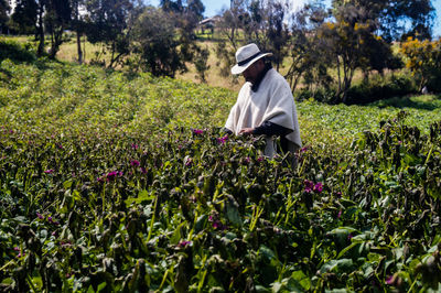 View of man working in field