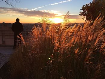 Rear view of silhouette man standing against sky at sunset