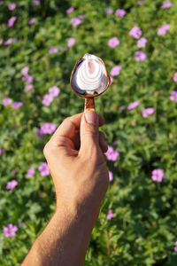 Cropped hand holding ice cream in yard