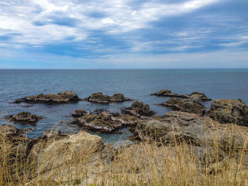 Scenic view of sea against sky