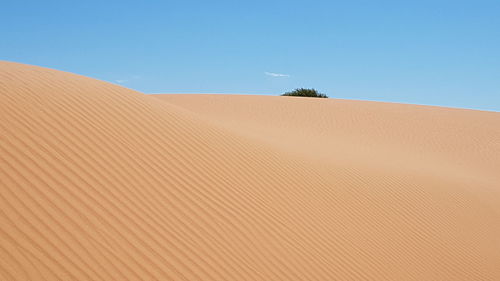 Sand dunes in desert against clear blue sky