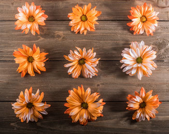 Close-up of flowers on table