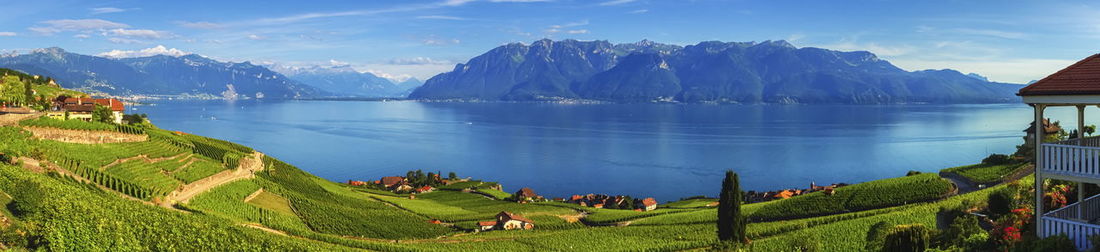 Panorama on lavaux region by day, vaud, switzerland