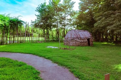 View of trees on landscape against sky