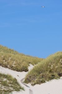 Scenic view of landscape against clear blue sky