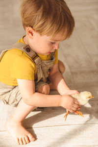 Boy playing with ducks for easter