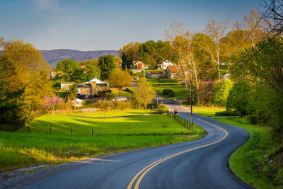 Road amidst trees and buildings against sky