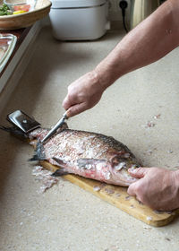 Cropped hand of person preparing food at beach