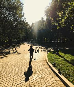 People walking on footpath in park