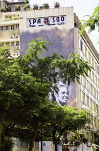 Information sign on tree in city