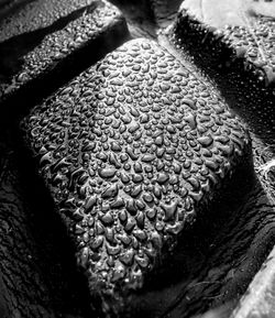 Close-up of bread