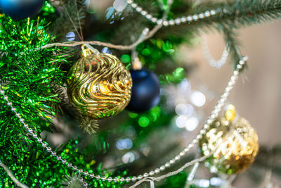 Close-up of christmas tree