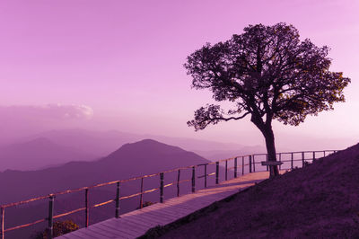 Scenic view of tree by mountains against sky