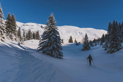 snow