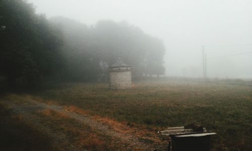 View of field in foggy weather