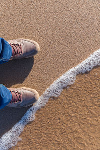 Low section of man standing on beach