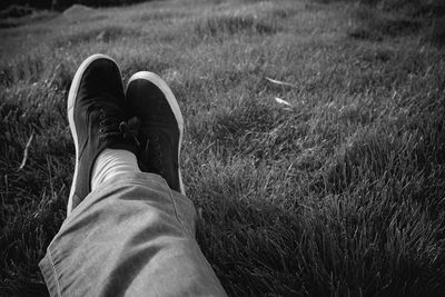 Low section of man wearing shoes on grass