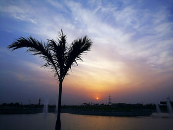 Palm trees by sea against cloudy sky